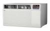 10,000 BTU Thru-the-Wall Air Conditioner with remote LT103HNR